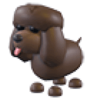 Irish-Water-Spaniel