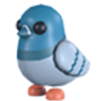 Rock-Pigeon