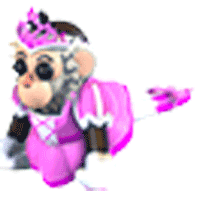 Princess-Capuchin-Monkey