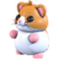Hamster